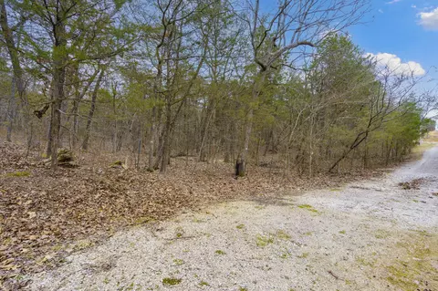 tbd Alyeska Point Rd, Lampe, MO 65681 photo 8