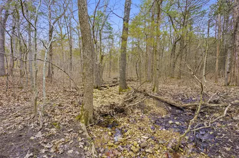 tbd Alyeska Point Rd, Lampe, MO 65681 photo 11