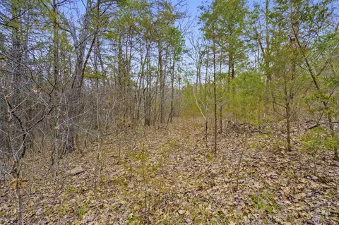 tbd Alyeska Point Rd, Lampe, MO 65681 photo 12