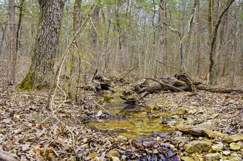 tbd Alyeska Point Rd, Lampe, MO 65681 photo 2