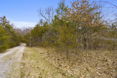 tbd Alyeska Point Rd, Lampe, MO 65681 photo 9
