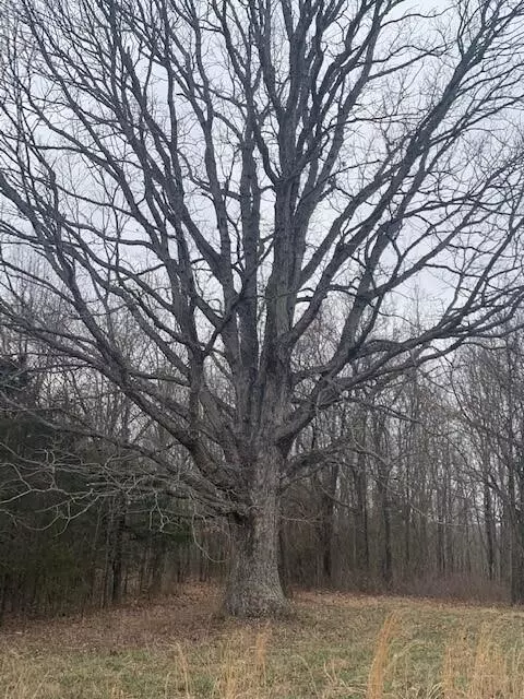 0000 Keystone Rd, Reeds Spring, MO 65737 photo 27