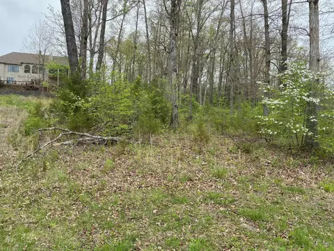 108 Pinehurst Ct, Branson, MO 65616 photo 3