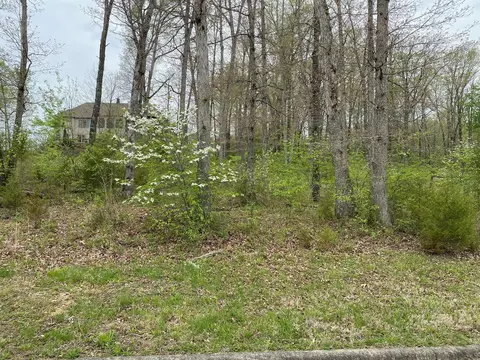 108 Pinehurst Ct, Branson, MO 65616 photo 5