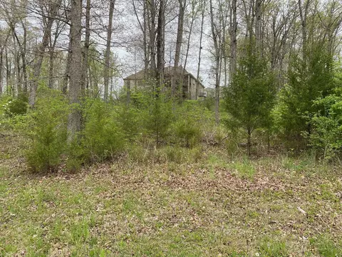108 Pinehurst Ct, Branson, MO 65616 photo 6