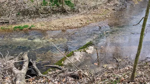 Tract F N Farm Road 61, Willard, MO 65781