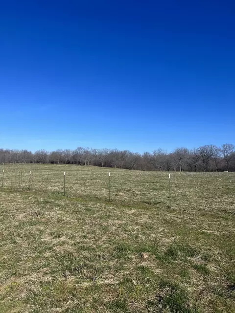 000 State Rte Ee, Everton, MO 65646 photo 20