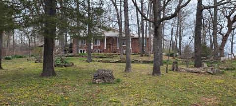 3591 State Highway Aa, Crane, MO 65633 photo 1