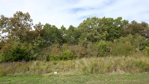 000 N View Dr, Branson, MO 65616 photo 3