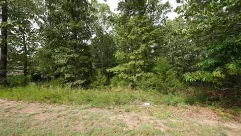 1173 Emory Creek Blvd, Branson, MO 65616