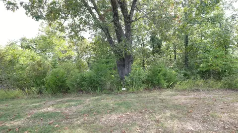 342 N View Dr, Branson, MO 65616 photo 3