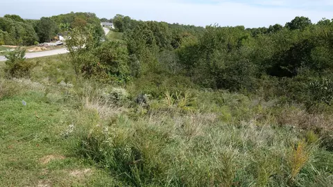 374 Emory Creek Rd, Branson, MO 65616 photo 5