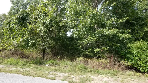 413 N Ridge Pl, Branson, MO 65616 photo 2