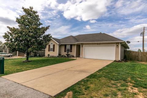 313 Cinnamon Ct, Sparta, MO 65753 photo 1