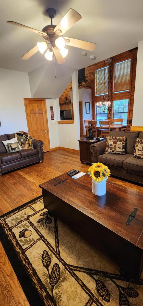 228-230 Oak Ridge Rd, Branson, MO 65616 photo 13