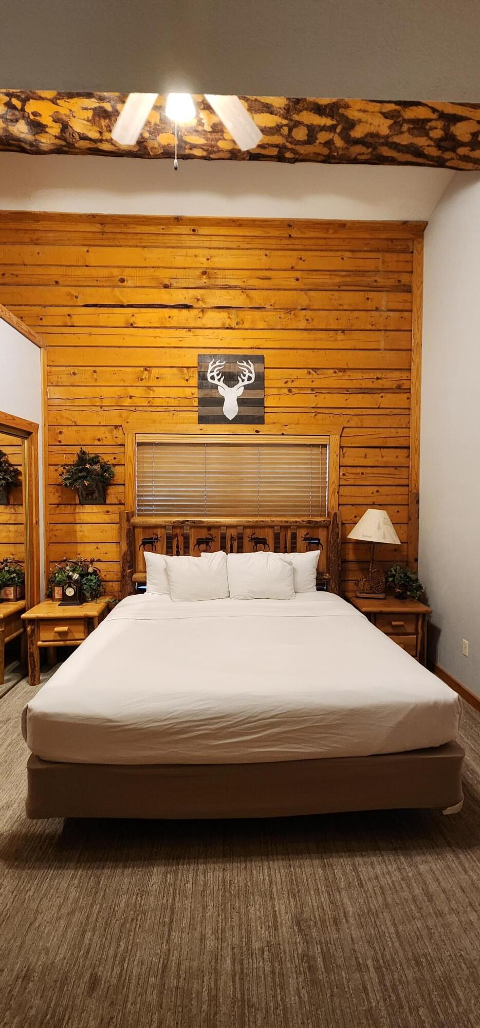 228-230 Oak Ridge Rd, Branson, MO 65616 photo 52