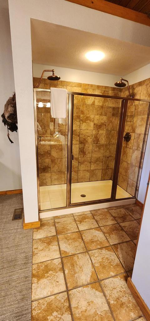 228-230 Oak Ridge Rd, Branson, MO 65616 photo 68
