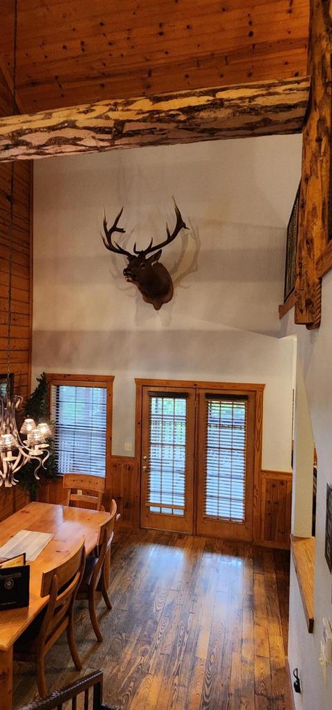 228-230 Oak Ridge Rd, Branson, MO 65616 photo 5