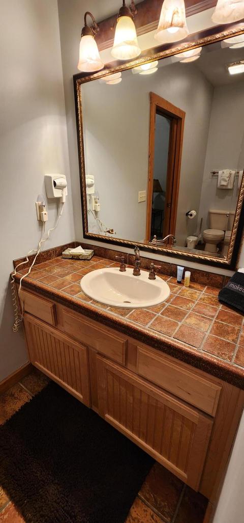 228-230 Oak Ridge Rd, Branson, MO 65616 photo 7