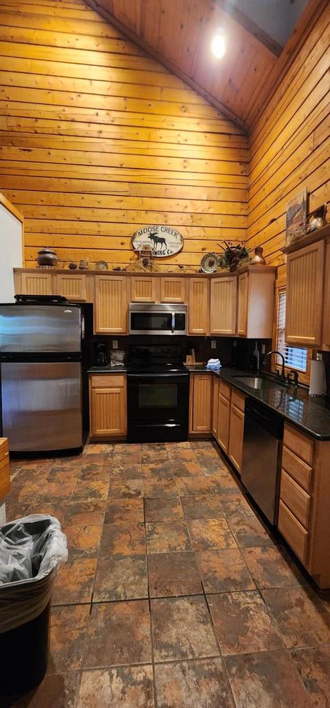 228-230 Oak Ridge Rd, Branson, MO 65616 photo 19
