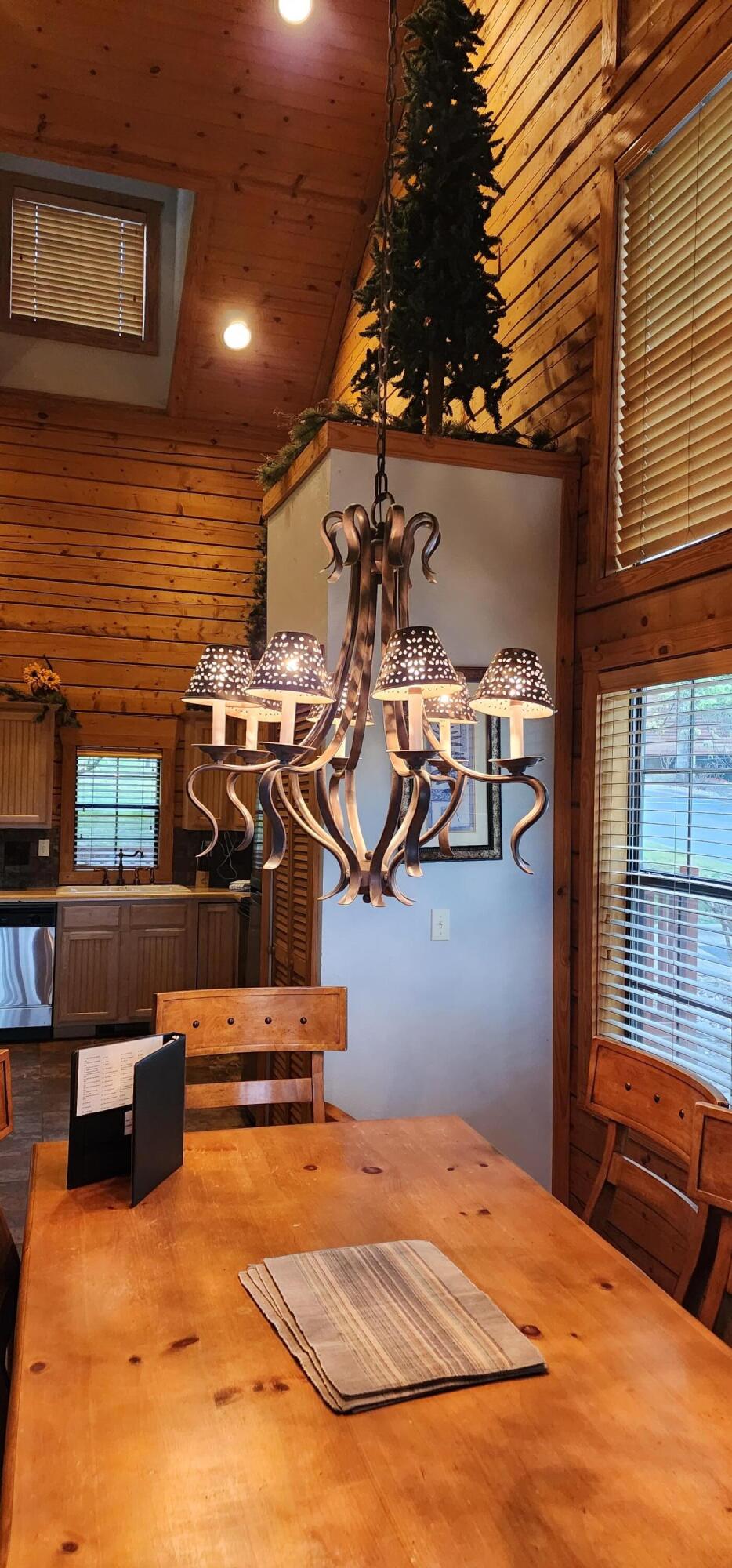 228-230 Oak Ridge Rd, Branson, MO 65616 photo 32