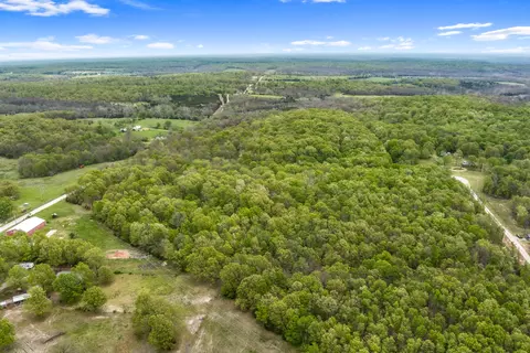 272 Durington Rd, Buffalo, MO 65622 photo 21