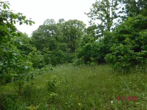 000 W Beech Ln, Brighton, MO 65617 photo 9