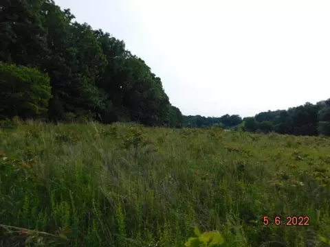 000 W Beech Ln, Brighton, MO 65617 photo 5