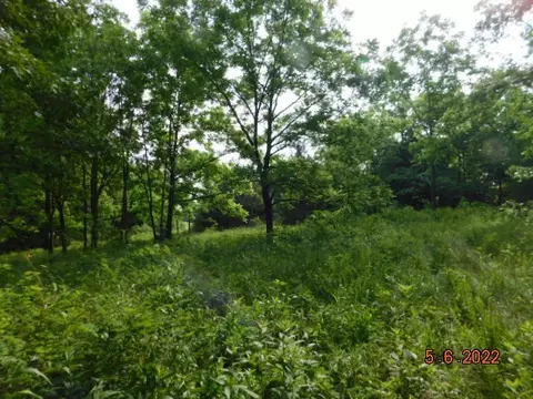 000 W Beech Ln, Brighton, MO 65617 photo 7
