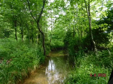 000 W Beech Ln, Brighton, MO 65617 photo 6