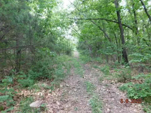 000 W Beech Ln, Brighton, MO 65617 photo 3