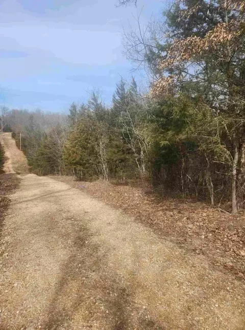 000 Meyongo Trl, Tunas, MO 65764 photo 3