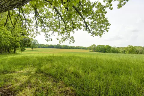 3380 London Rd, Mansfield, MO 65704 photo 1