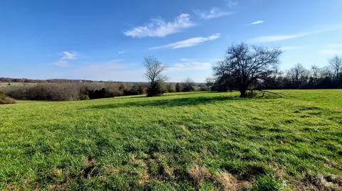 6536 S Barrel Blvd #LOT 16, Republic, MO 65738