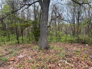 4099 Cravens Rd, Macomb, MO 65702 photo 7