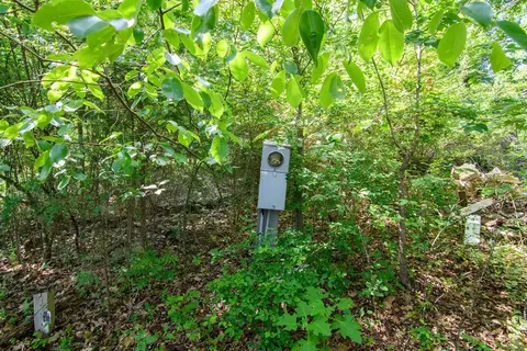 000 E State Highway 76, Branson, MO 65616 photo 19