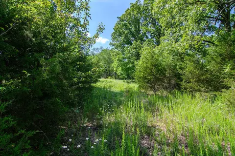 000 E State Highway 76, Branson, MO 65616 photo 22