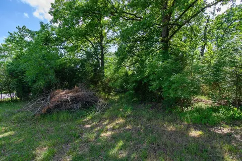 000 E State Highway 76, Branson, MO 65616 photo 18