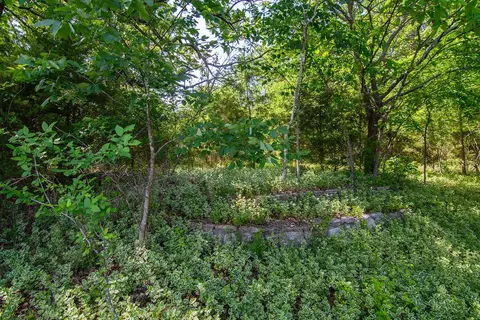 000 E State Highway 76, Branson, MO 65616 photo 21