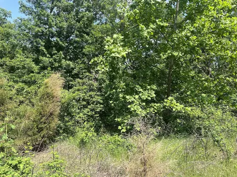 Tbd County Road 323, Thayer, MO 65791 photo 5