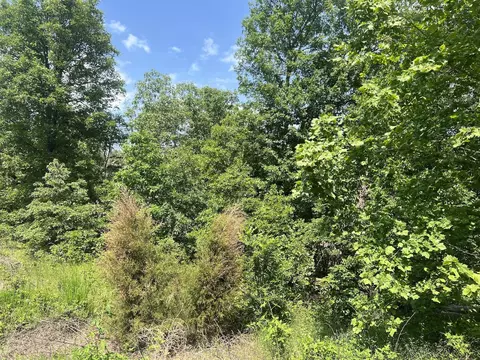Tbd County Road 323, Thayer, MO 65791 photo 7