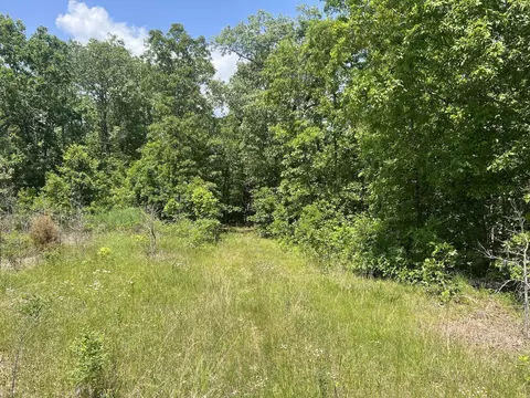 Tbd County Road 323, Thayer, MO 65791 photo 2