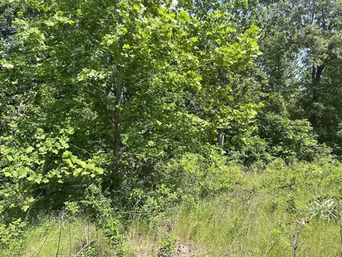 Tbd County Road 323, Thayer, MO 65791 photo 6
