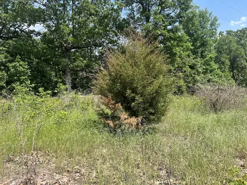 Tbd County Road 323, Thayer, MO 65791 photo 4