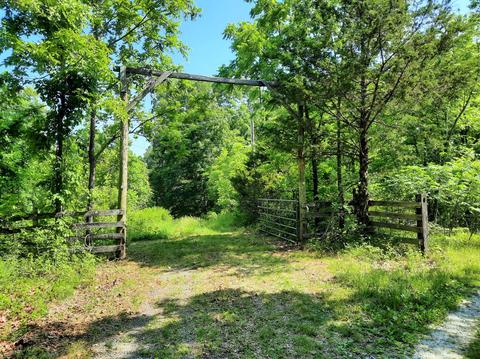 373 Longhorn Dr, Chadwick, MO 65629 photo 42
