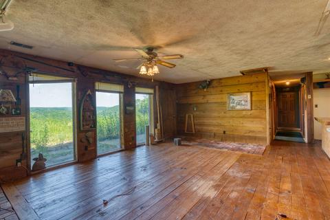 373 Longhorn Dr, Chadwick, MO 65629 photo 11