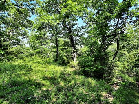 373 Longhorn Dr, Chadwick, MO 65629 photo 41