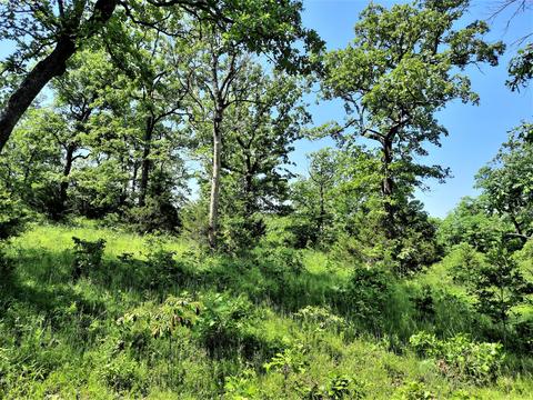 373 Longhorn Dr, Chadwick, MO 65629 photo 39