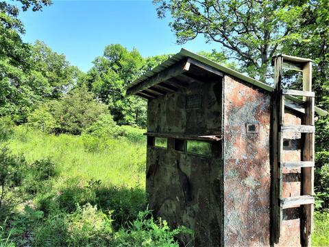373 Longhorn Dr, Chadwick, MO 65629 photo 37
