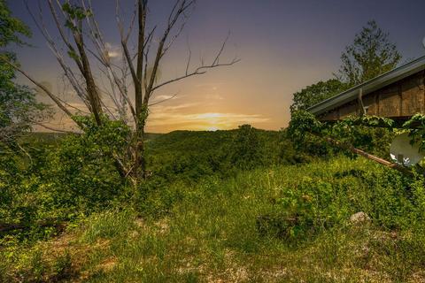 373 Longhorn Dr, Chadwick, MO 65629 photo 48